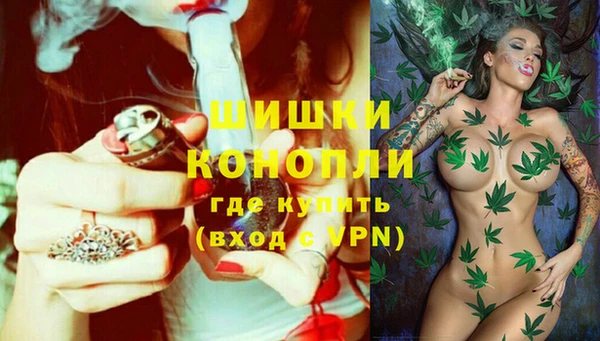 ПСИЛОЦИБИНОВЫЕ ГРИБЫ Балахна