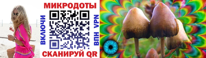 Галлюциногенные грибы Cubensis  Острогожск 